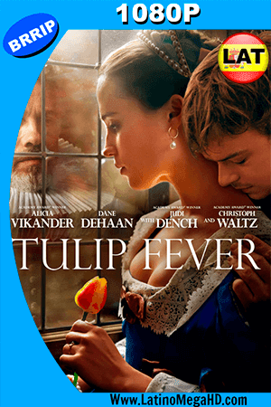 Amor, Deseo y Tulipanes (2017) Latino HD 1080P (2017)