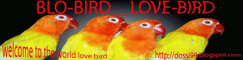 Blo-Bird