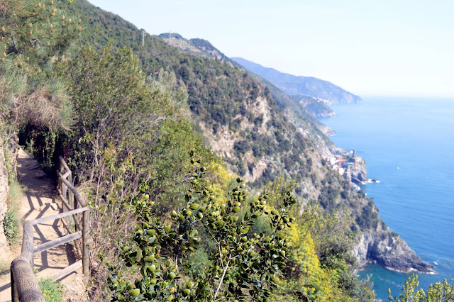 sentieri cinque terre