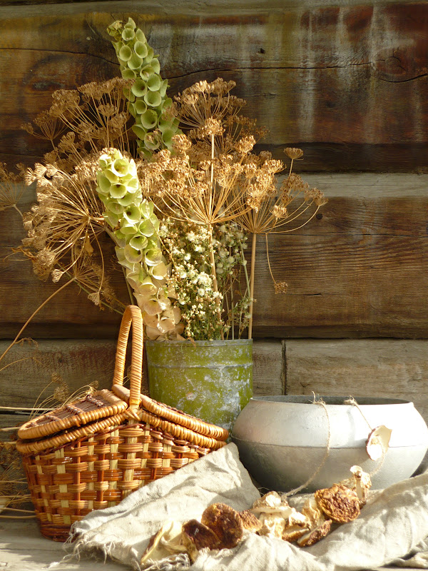 Травница картинки эстетика