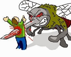 Crime in Belize & Other Things People Worry About 48 Remaxvipbelize: mauger season