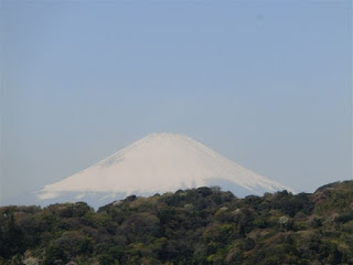 安国論寺からの富士