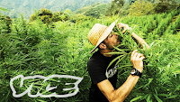 Documental Kings of cannabis rey del cannabis
