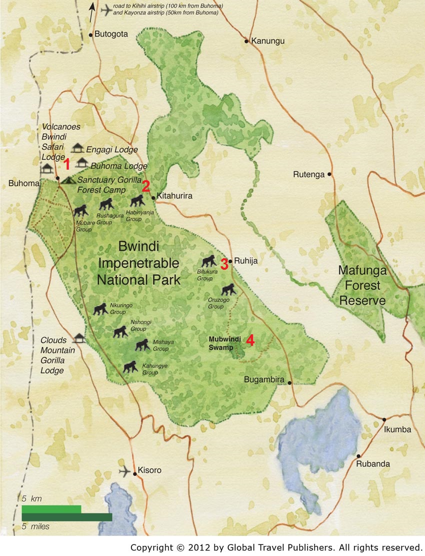bwindi impenetrable np the red 2 marks the neck the other numbers refer to places i shall mention below map courtesy african adventure company bwindi impenetrable np the red 2 marks the neck the other numbers refer to places i shall mention below map courtesy african adventure company