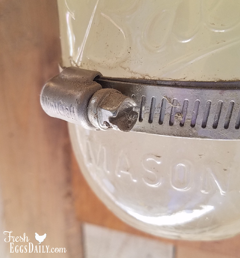 DIY Chicken Coop Gel Hand Sanitizer Dispenser Fresh Eggs Daily® with