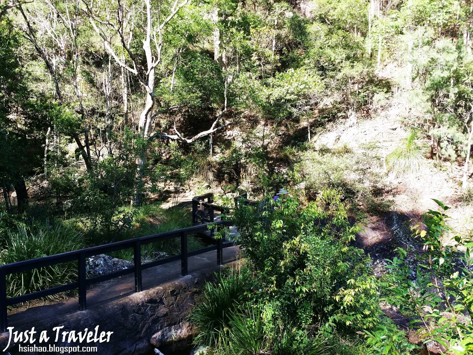 布里斯本-國家公園-登山-爬山-Kondalilla-National-Park-Brisbane