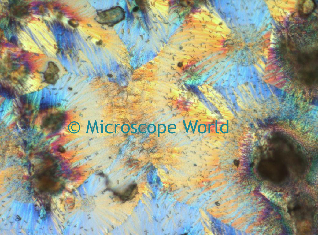 Microscope World Blog Vitamin C under the Microscope