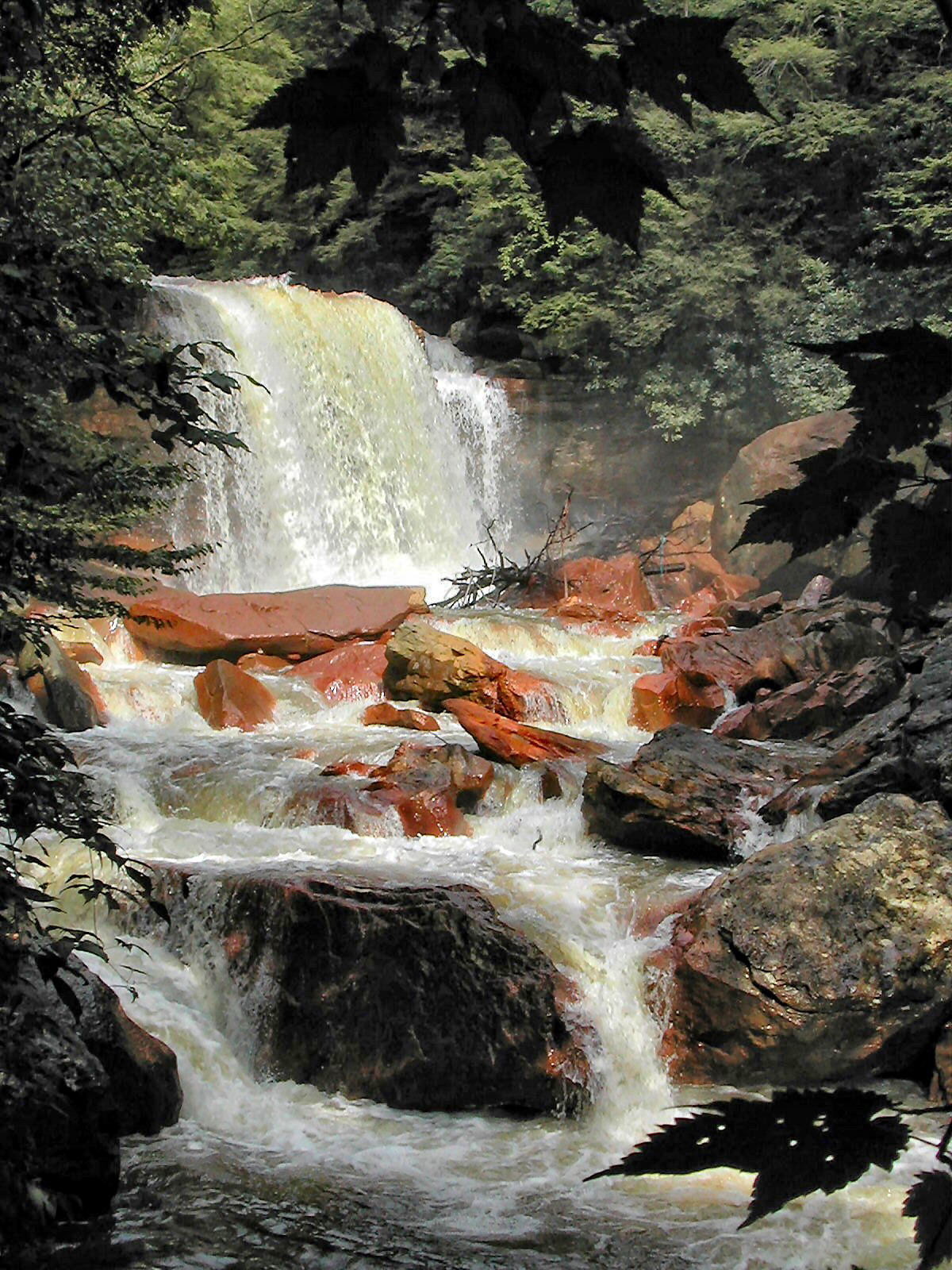 Discover West Virginia Exploring the North Fork of the Blackwater