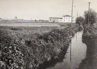 Fuente: http://localmundial.blogspot.com.es/2015/01/el-passat-agrari-de-lhospitalet.html Acequia del Canal de la Infanta a su paso por L'Hospitalet (1971)