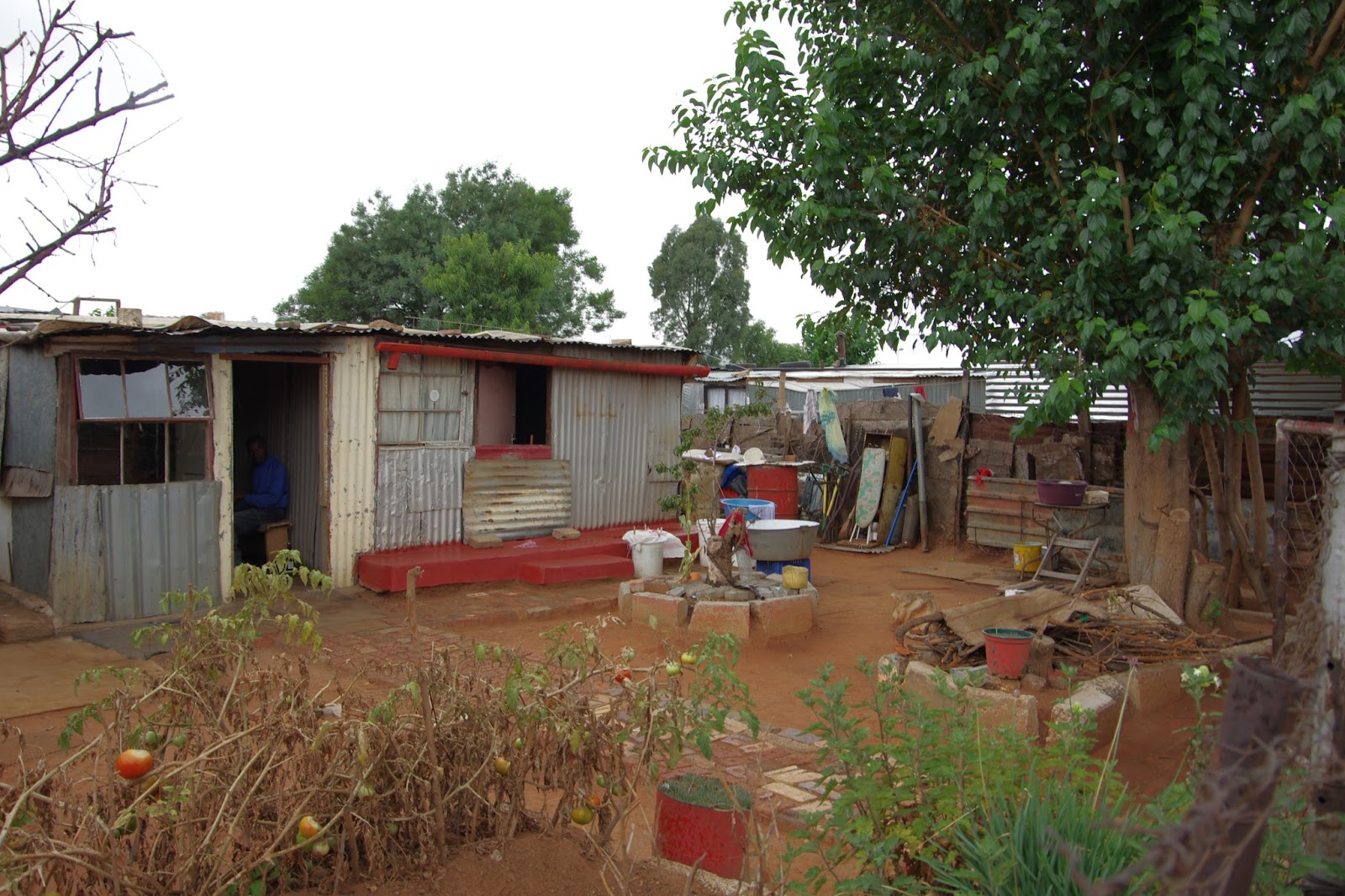 informal settlements essay