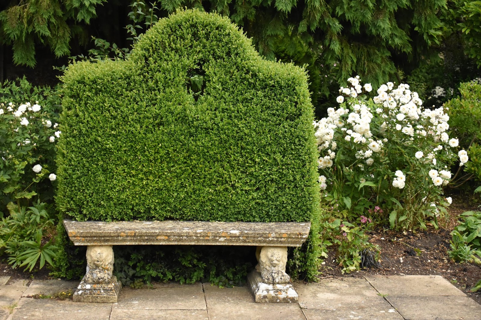 Privet Alchetron The Free Social Encyclopedia