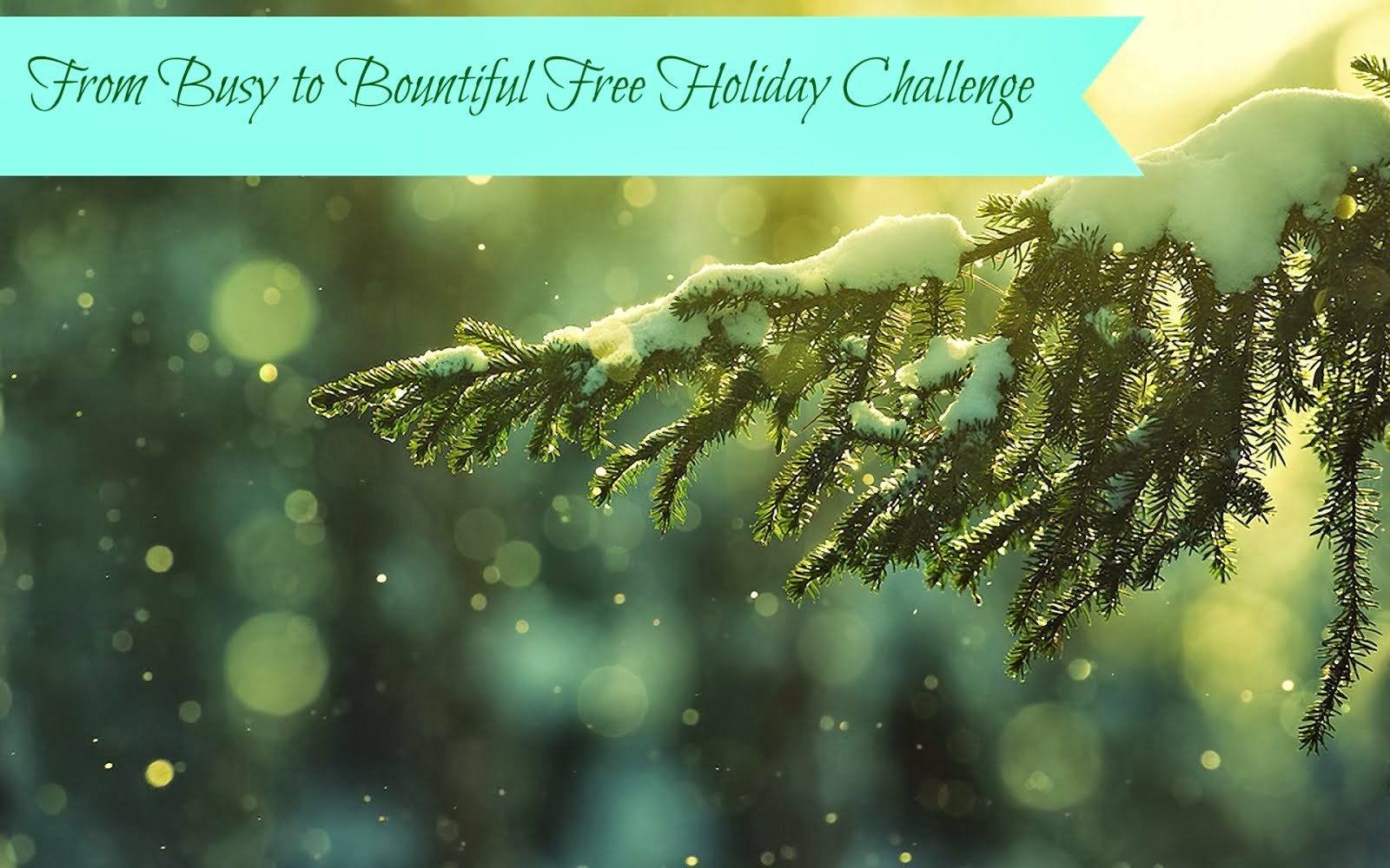 Free 28 Day Holiday Challenge