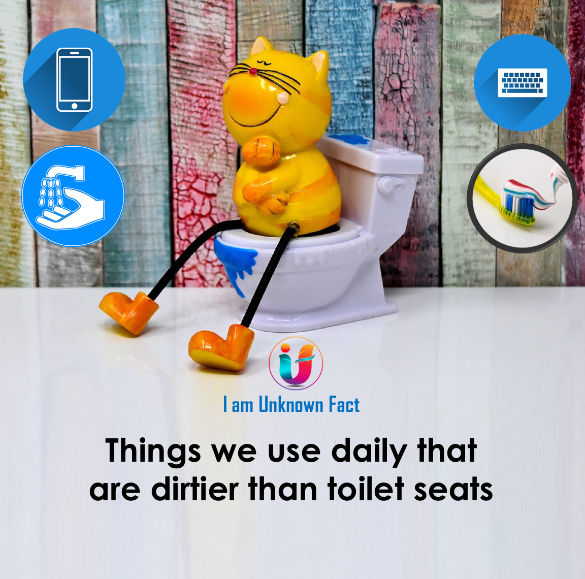 8 things we use daily that are dirtier than toilet seats