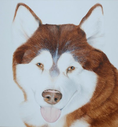 Pet Portrait Malamute Oil on Canvas