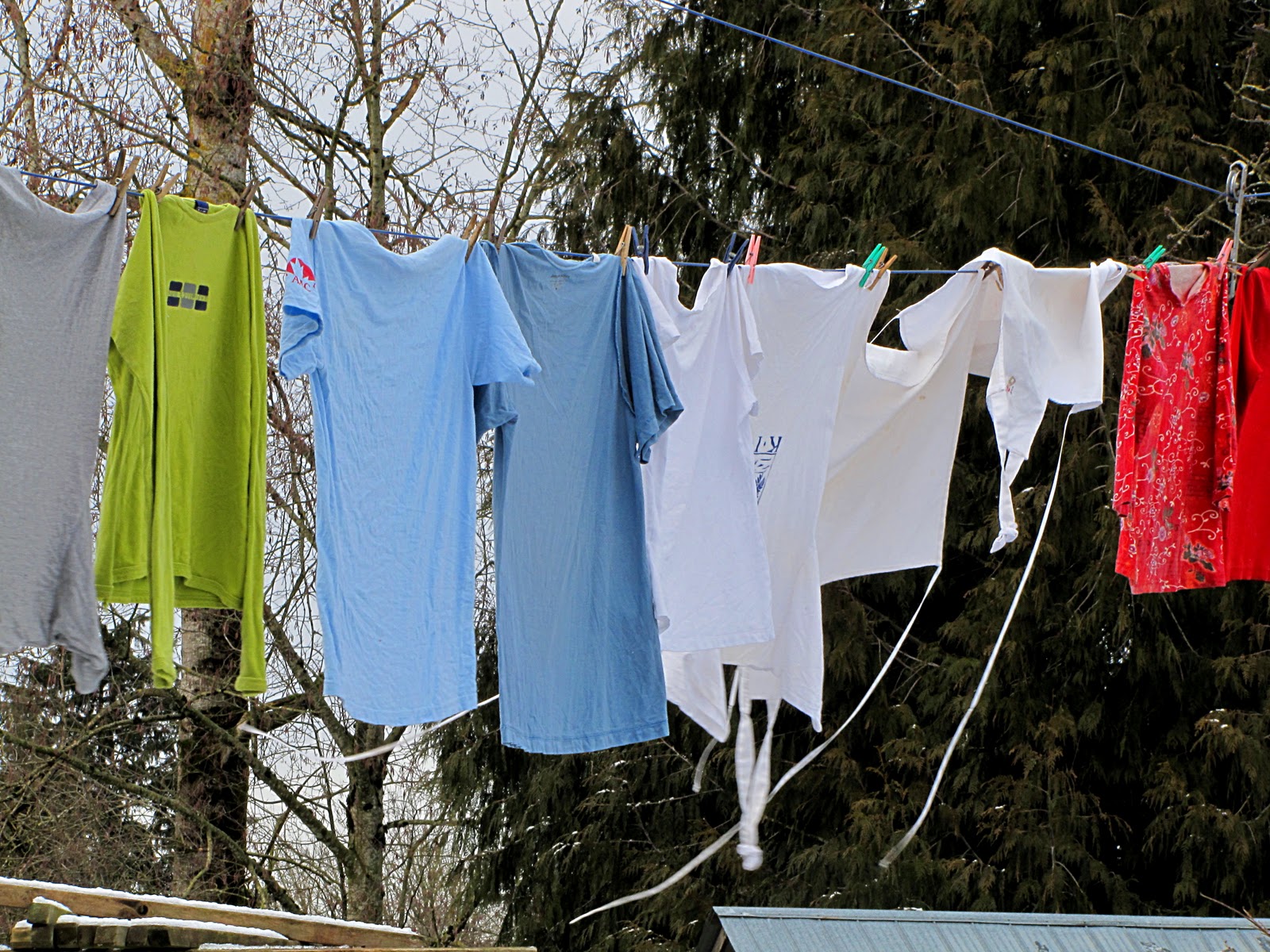 365 Days at Wyndson Farm Freeze Dried Clothes