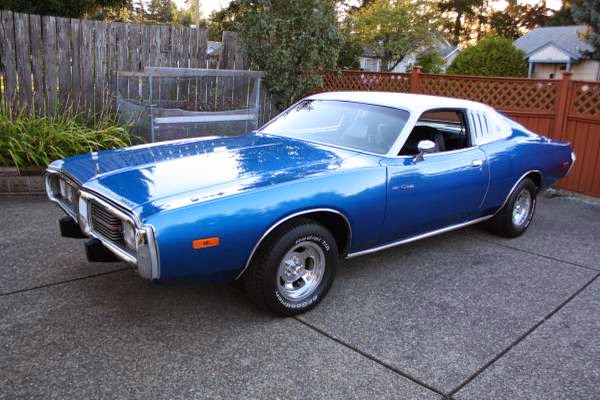 1974 Dodge Charger SE for Sale - Buy American Muscle Car