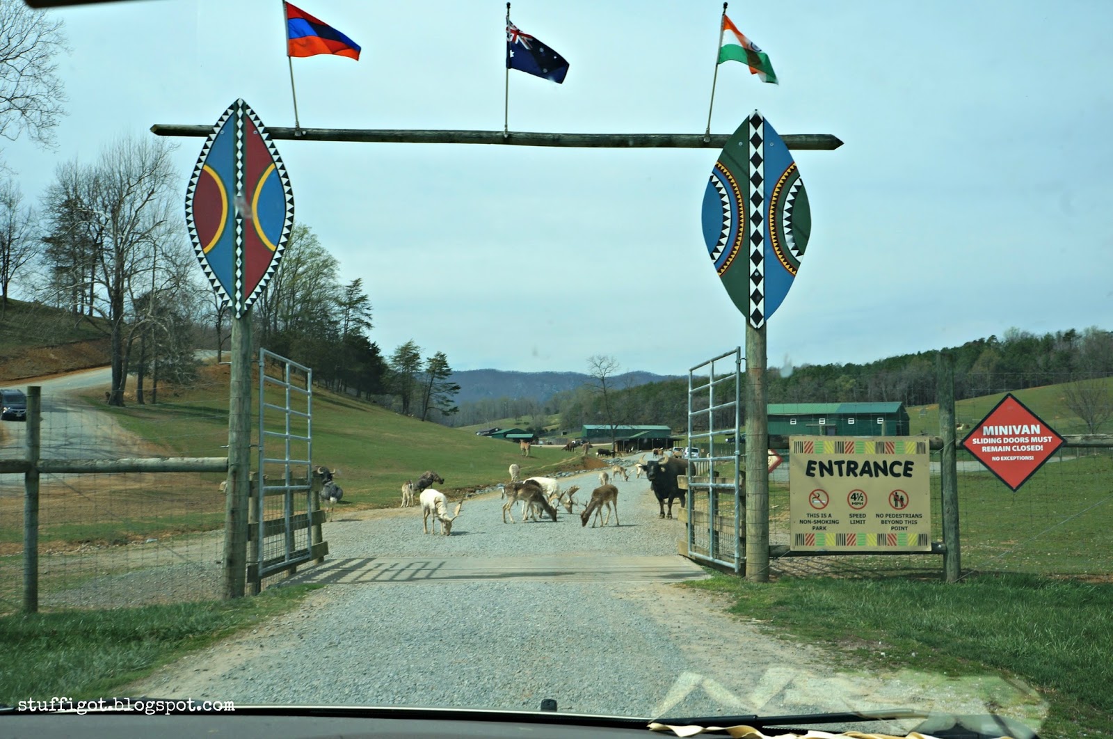 Crafty And Wanderfull Life Our Trip To The Virginia Safari Park