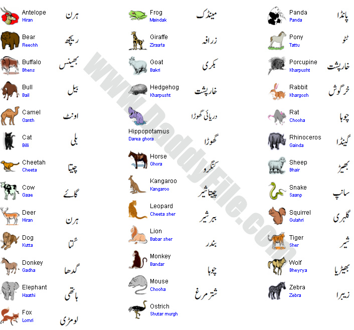 Animals Name Word Meanings And Sentences In English And ...