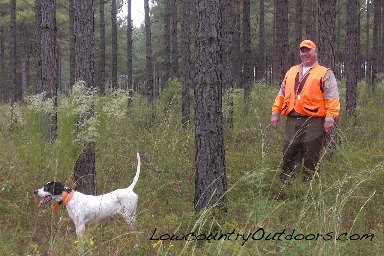 Lowcountry outdoors 2015 Quail Preserve Season Opens Southeast