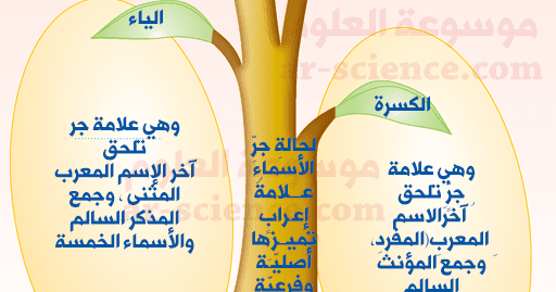 ذاكرتُ دروسي أملاً في النجاح . نوع المتمم هنا ##