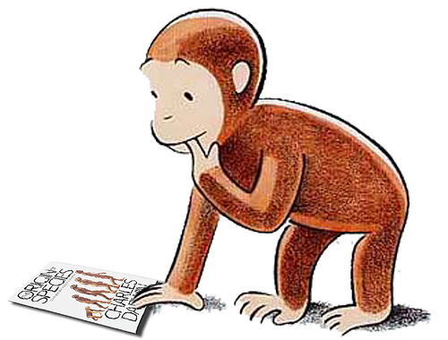 monkey reading clipart - photo #25