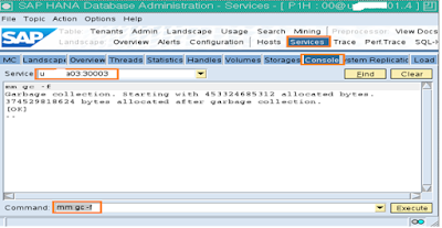 How to Perform Garbage Collection in HANA