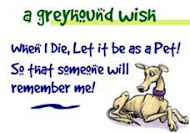 Greyhound Rescue and Rehabilitation