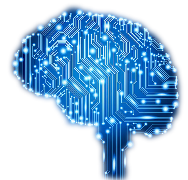 C THIS LANGUAGE: The Human Brain