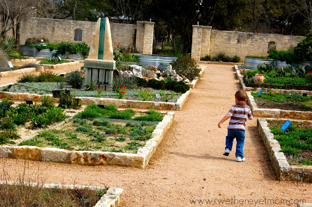 Tropical Texana The Texas Cottage Garden 50 Plants That Look
