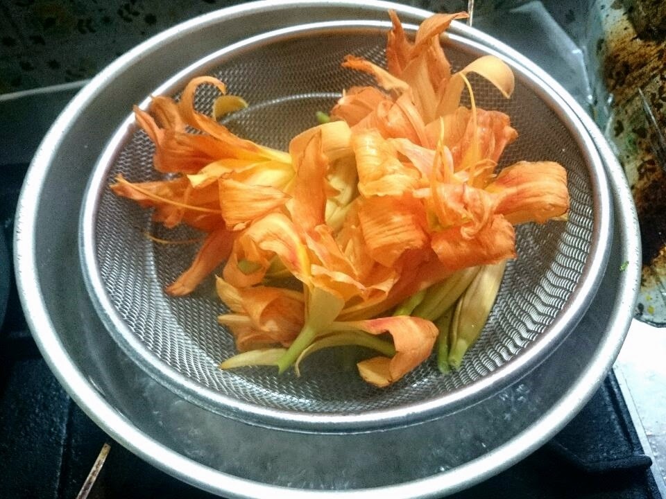 にゃごにゃの野草料理 カンゾウの花の味と保存方法