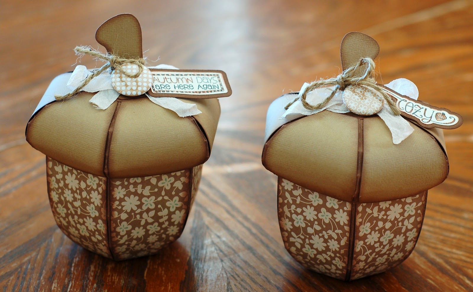 Коробочка Желудь