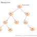 Diaplay Left View of Binary tree in Java