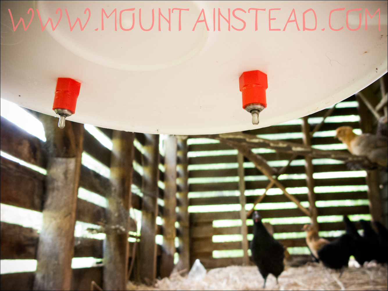 mountainsteading in rural appalachia corn crib to chicken coop renovation