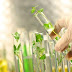 Ph.D in Environmental Science University of Calcutta