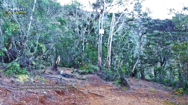 Pendakian Gunung Latimojong via Dusun Karangan