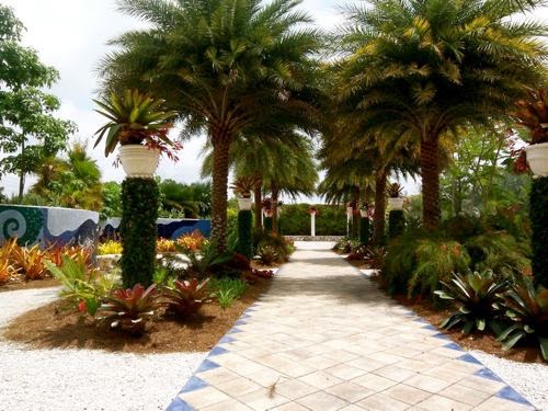 Florida Palms