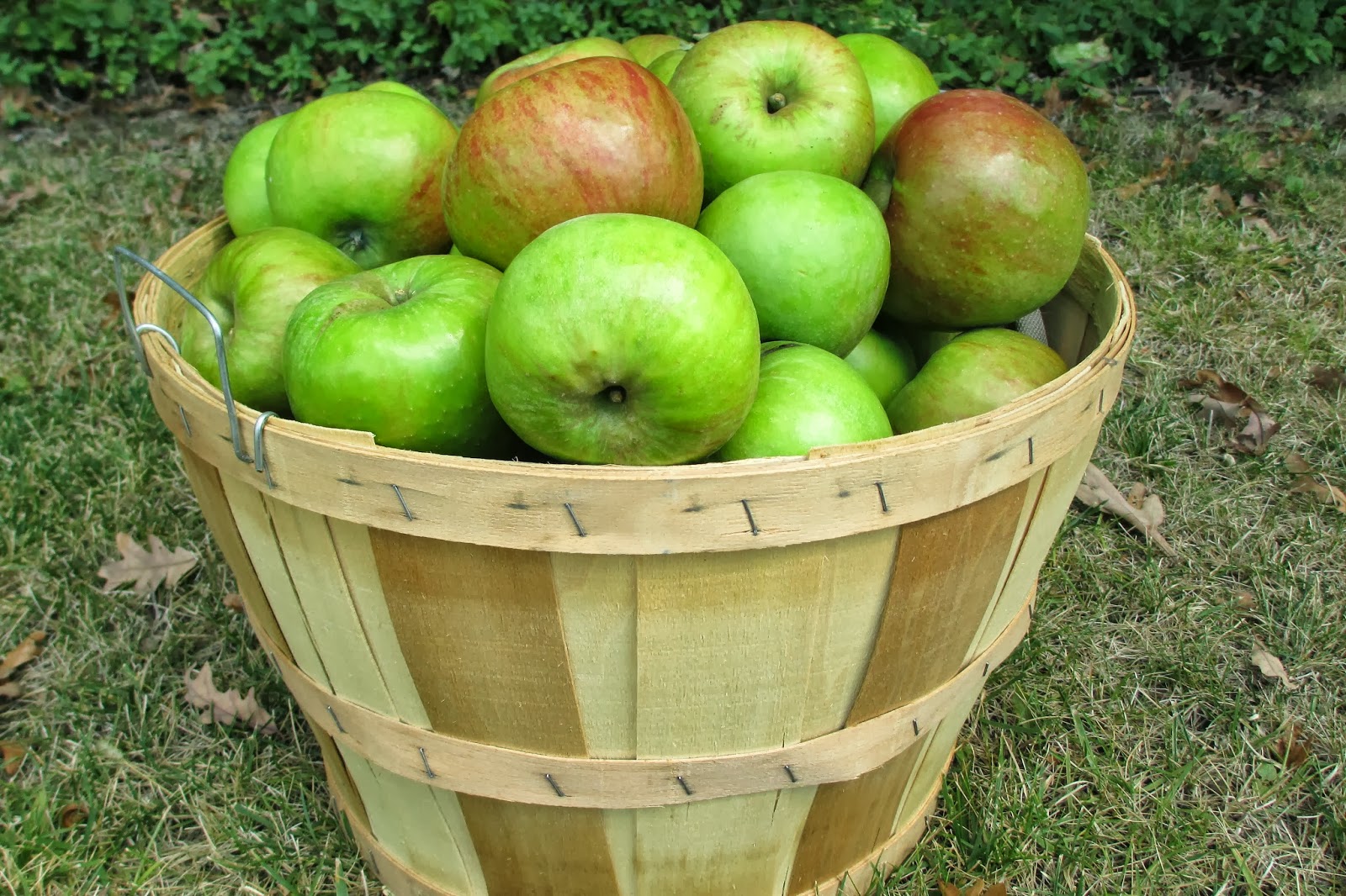 My Half Assed Kitchen 10 Things to Do With a Bushel of Apples