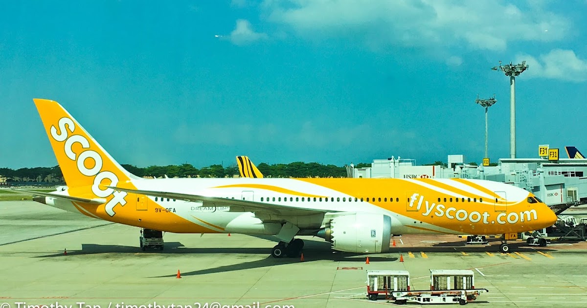 Airplane Pictures Scoot Boeing 7878
