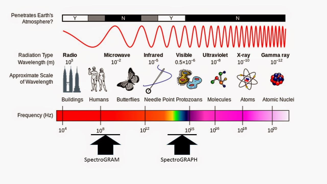 Bioacoustics Procrastinator Spectrogram vs Sonogram