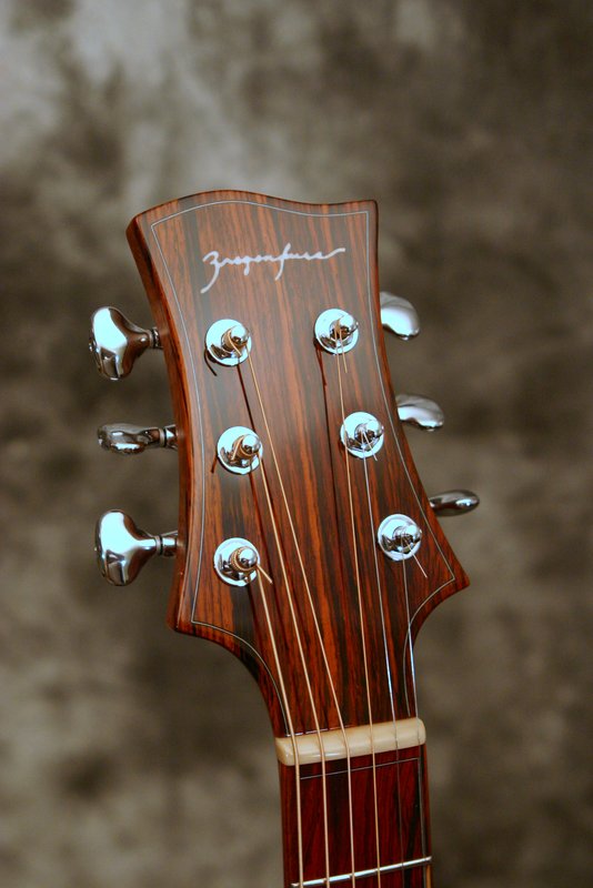 Ziegenfuss Guitars Steve's GA