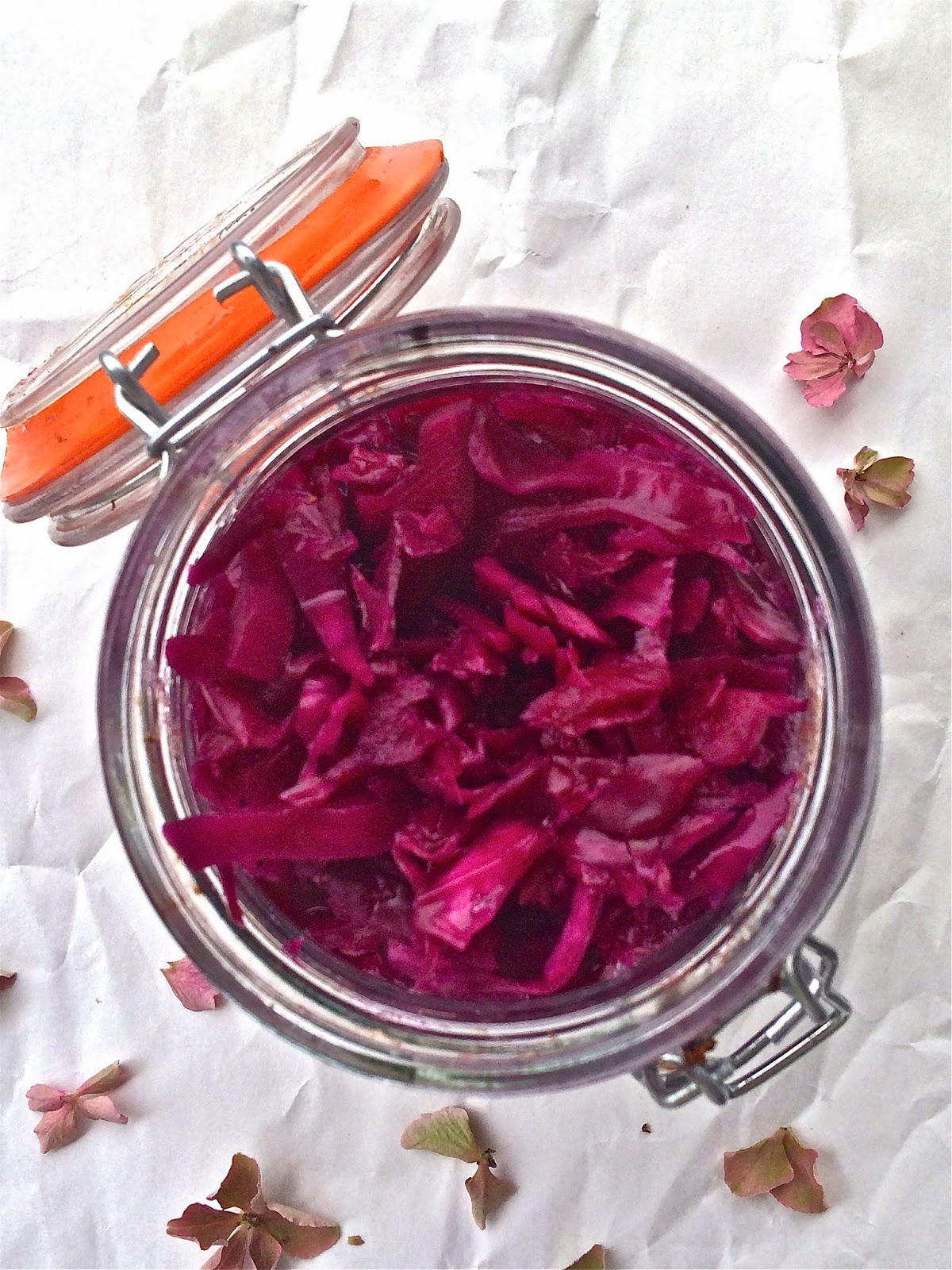 Passionately Raw! Purple Sauerkraut