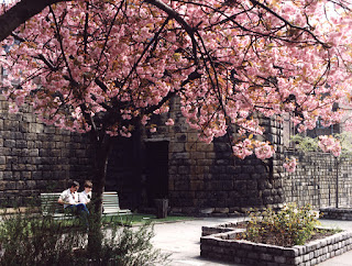 A colourful tree overhangs a couple sitting at the Town Walls