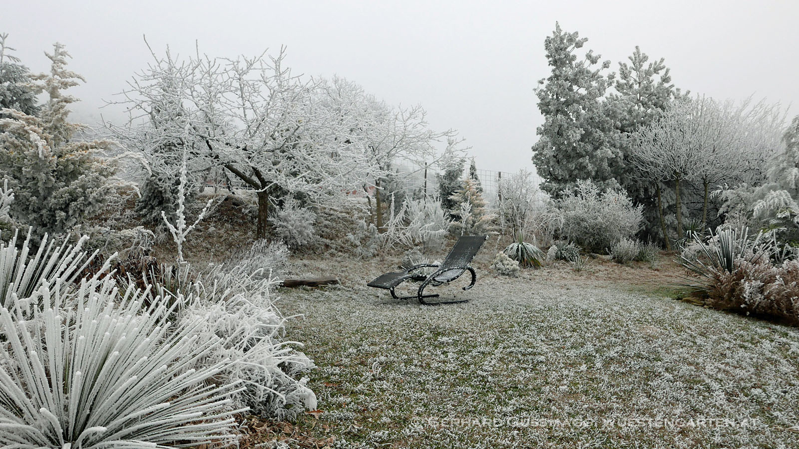 Der Wüstengarten: Dezember 2016