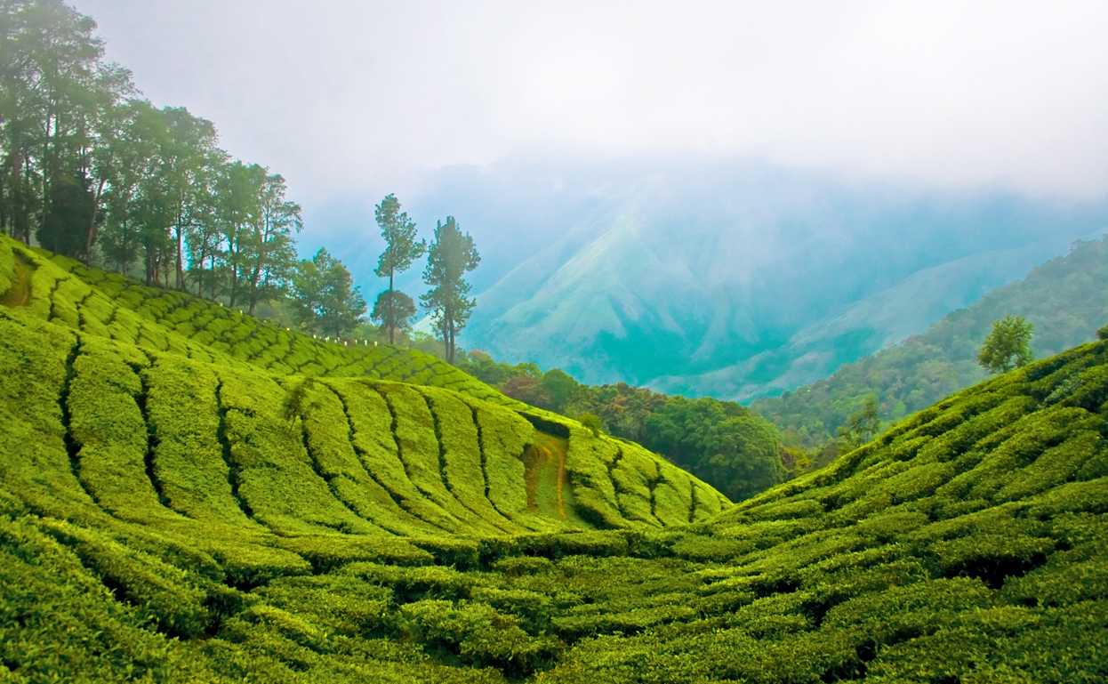 LESS KNOWN THINGS BLOGSPOT COM Indias Top Tourist Places Most LESS KNOWN THINGS BLOGSPOT COM Indias Top Tourist Places Most