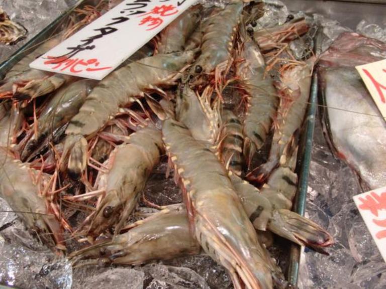 How to Get Cheaper Frozen Shrimp Price? Frozen Shrimp Suppliers
