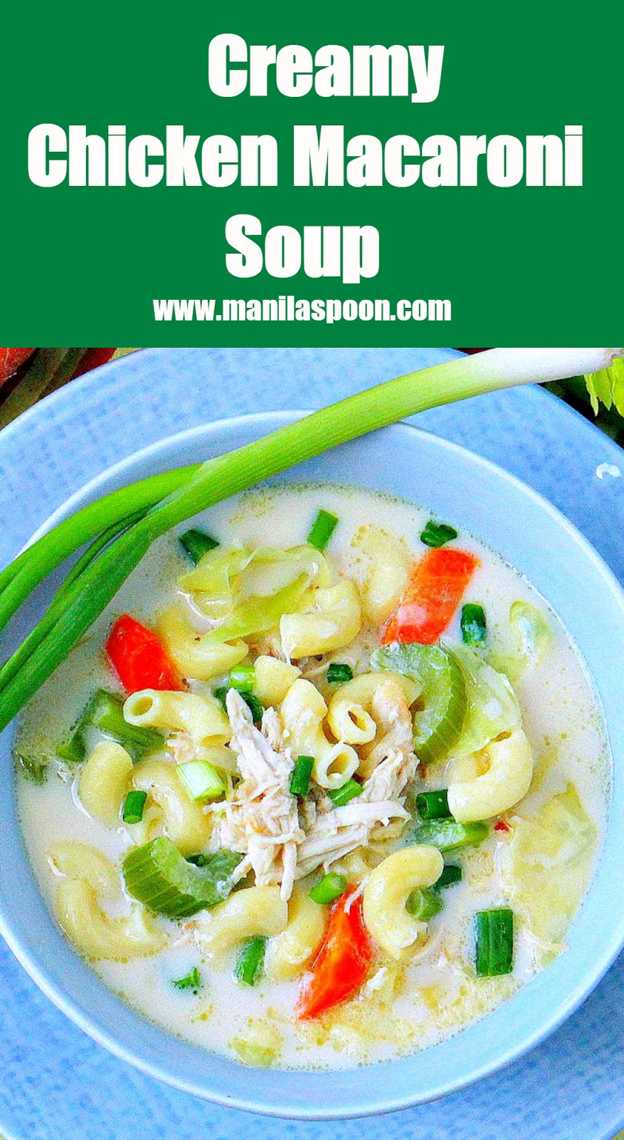 This is a creamy and flavorful Asian soup loaded with chicken, pasta and vegetables. Perfect for fall and winter!