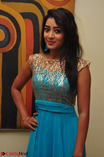 Bhanu Tripathi in Sleeveless Floor Lenght Anarkali gown At Desire Exhibition Launch 003