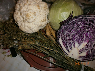 VARZA MURATA PT IARNA