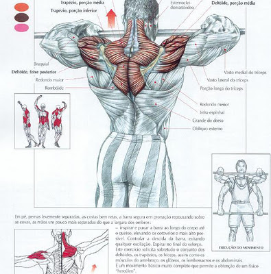 trapezio+remada+alta+m%25C3%25A3os+separadas.JPG
