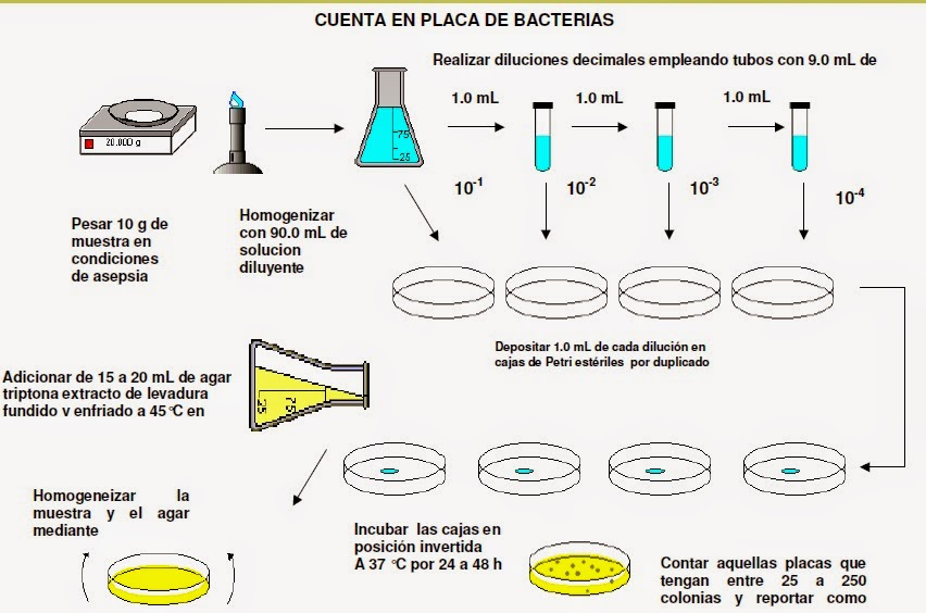 CRECIMIENTO DE EN YOGURT METODO DE